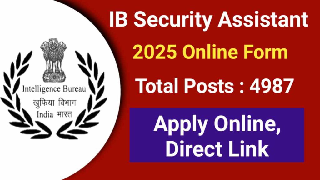 IB Security Assistant 2025